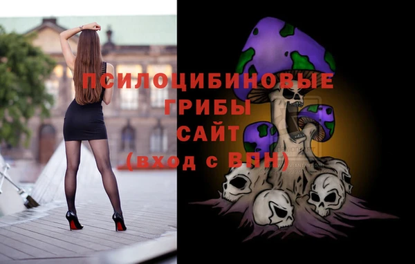 МДПВ Пересвет