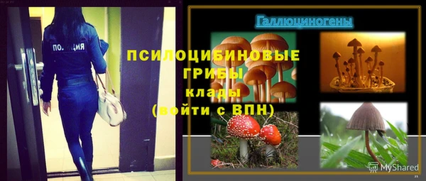 прущая мука Богородицк