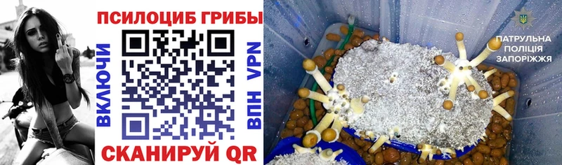 наркотики  Киренск  Галлюциногенные грибы мухоморы 